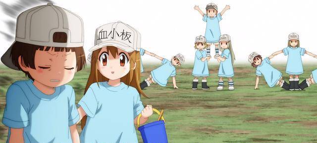 作为最弱的血小板的 戴反帽子 酱 她是依靠什么成长起来的呢 细胞 爱动漫 工作