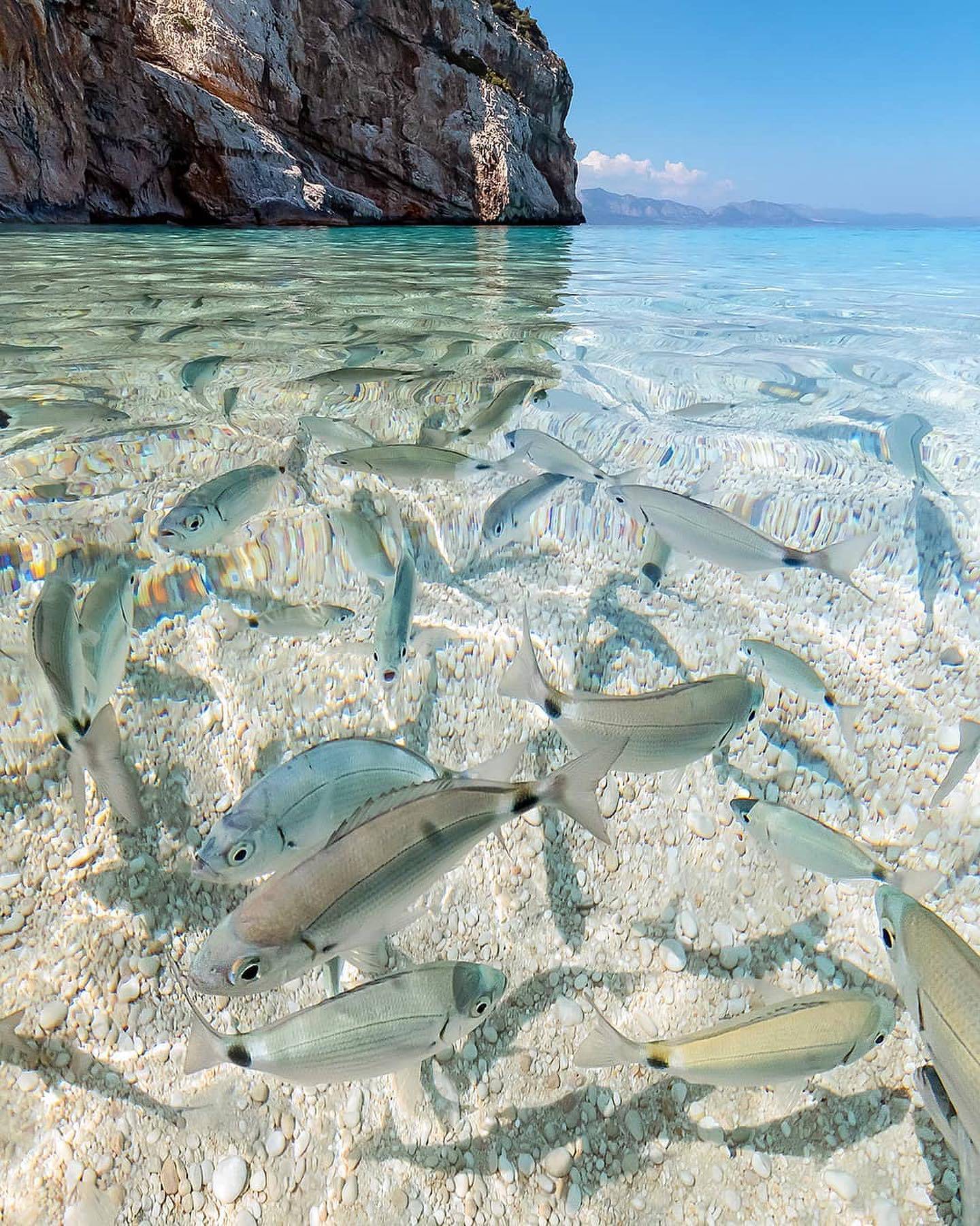 改善海洋环境共建美好未来