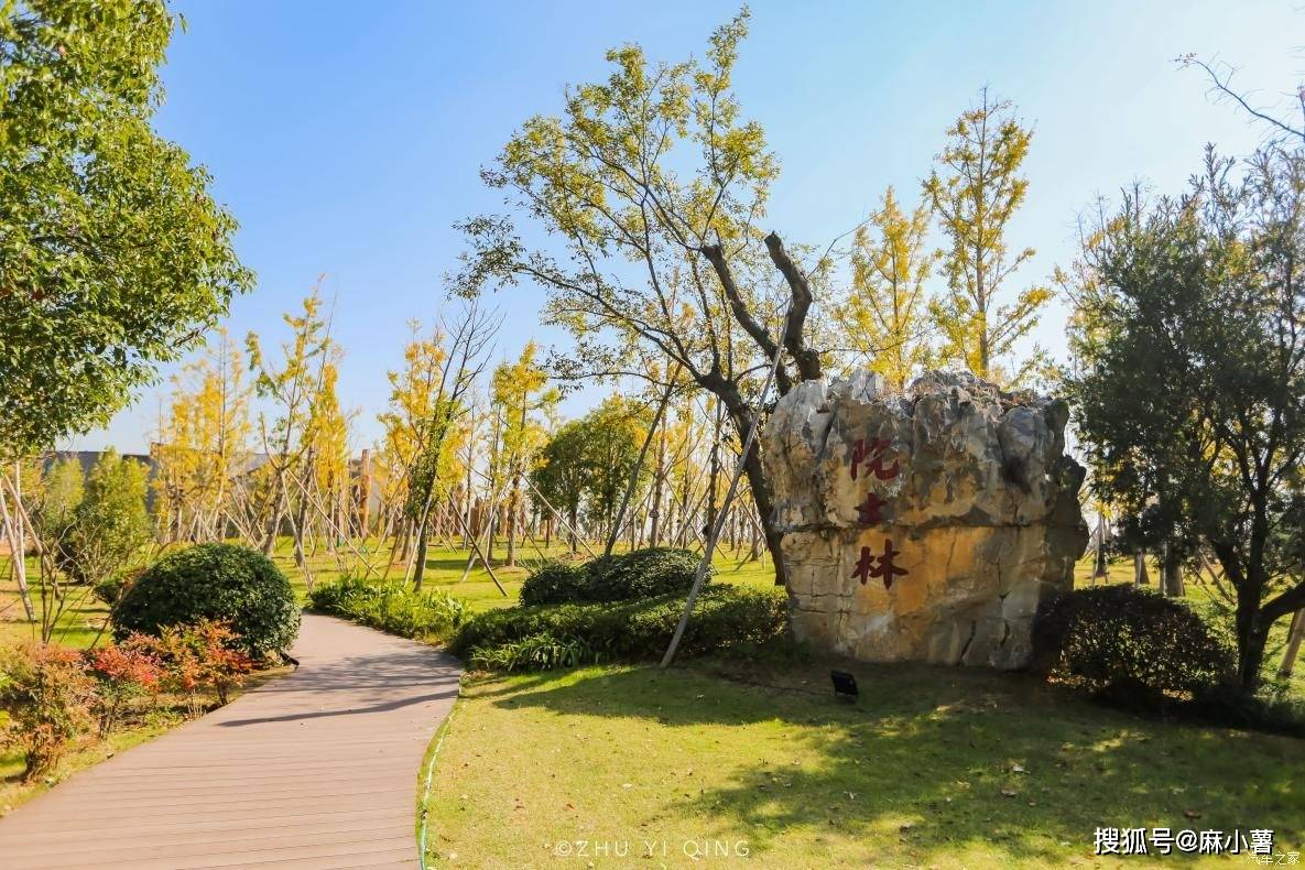 义乌藏着一座低调的公园，种满名贵药材，还有棵1.8亿年的树王