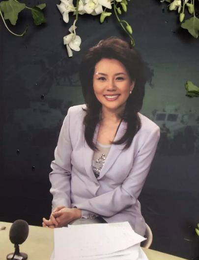 但是没有想到,在她事业正得意的时候,被央视代班主持的北大教授阿忆