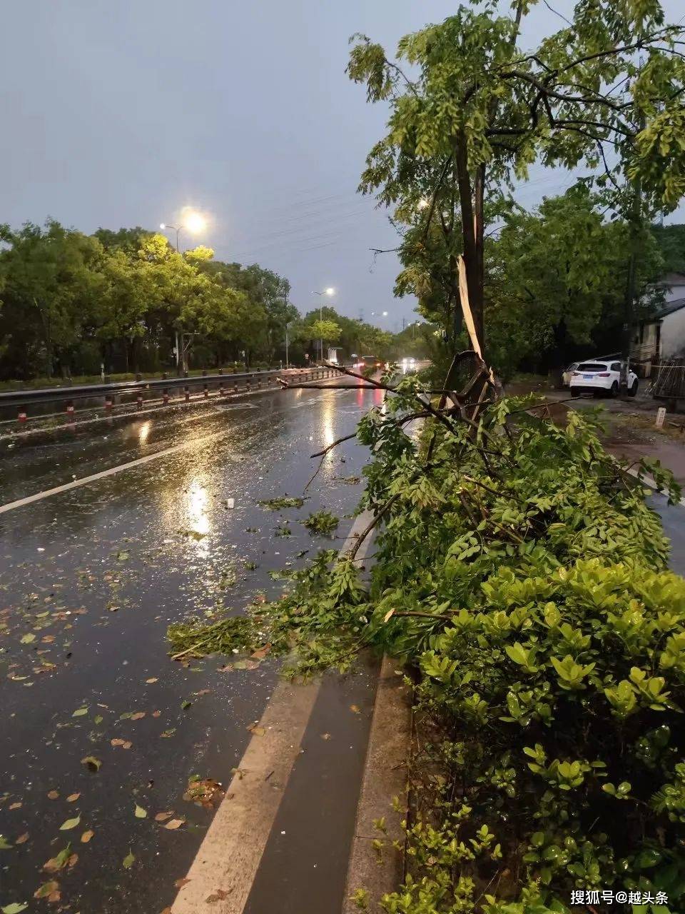 绍兴狂风暴雨突至一片狼藉围栏吹倒树枝挂断网友家里成水帘洞