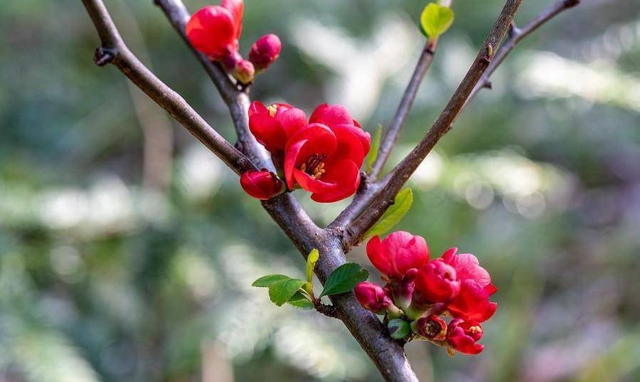 4月26日星座日运 射手运势较差 巨蟹容易倒霉 水瓶不在状态 事情 感情 生活