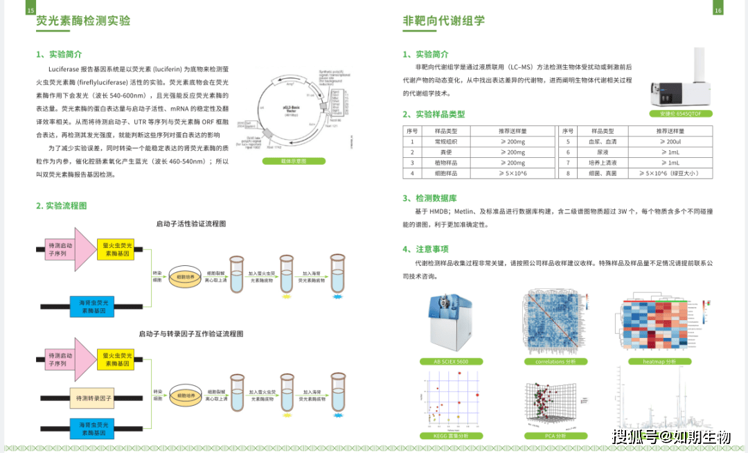 16s rdna 菌种鉴定