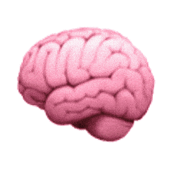 没用的脑子恋爱脑【聊天表情合集 】_大脑_动态_是属于