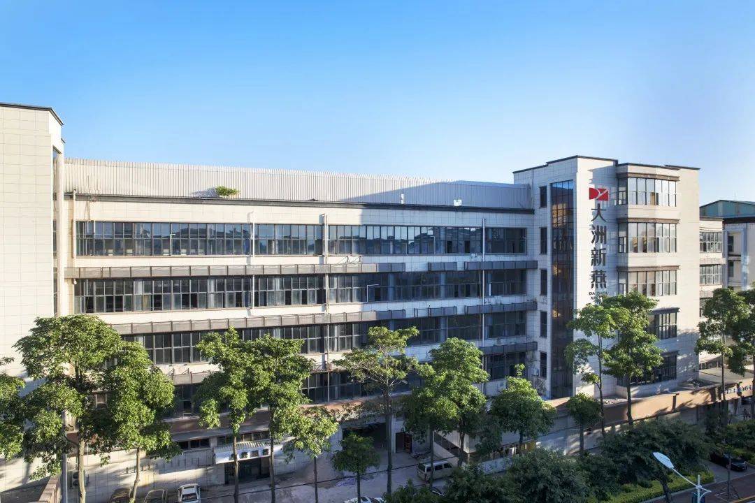 独家专访大洲新燕总经理单勇军共探新滋养浪潮下产品开发以何为向