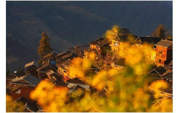 梯田风光当在四月赏_向前_杨松岭_景区