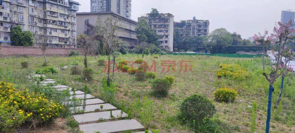 中環外側二仙橋袖珍地塊下月法拍總價16億起