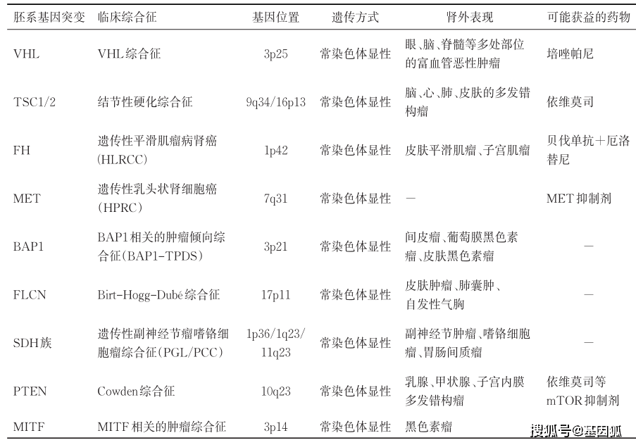 肾癌检查报告图片