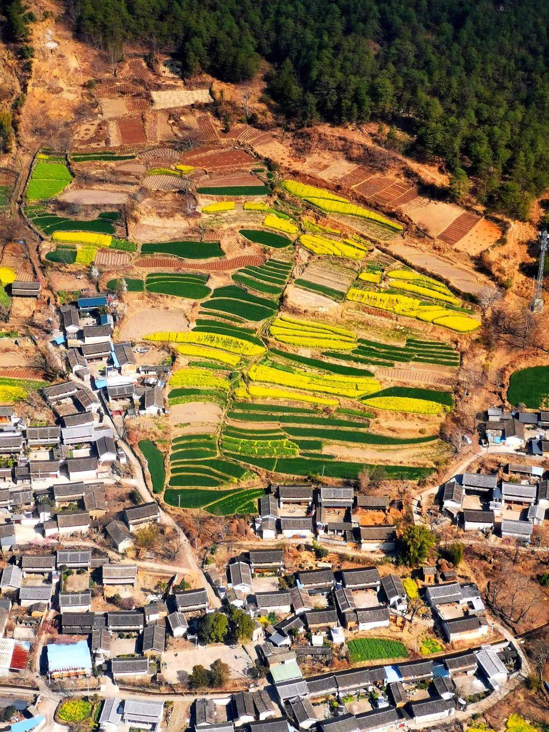 美图高空俯瞰丽江的春天很艳