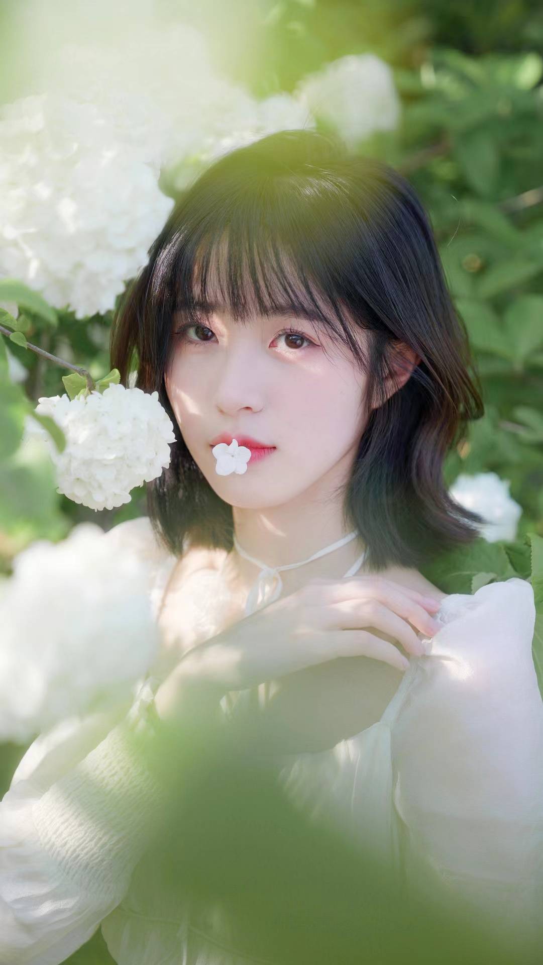 和绣球花合影拍美照8大要点助你拍出美美绣球花人像