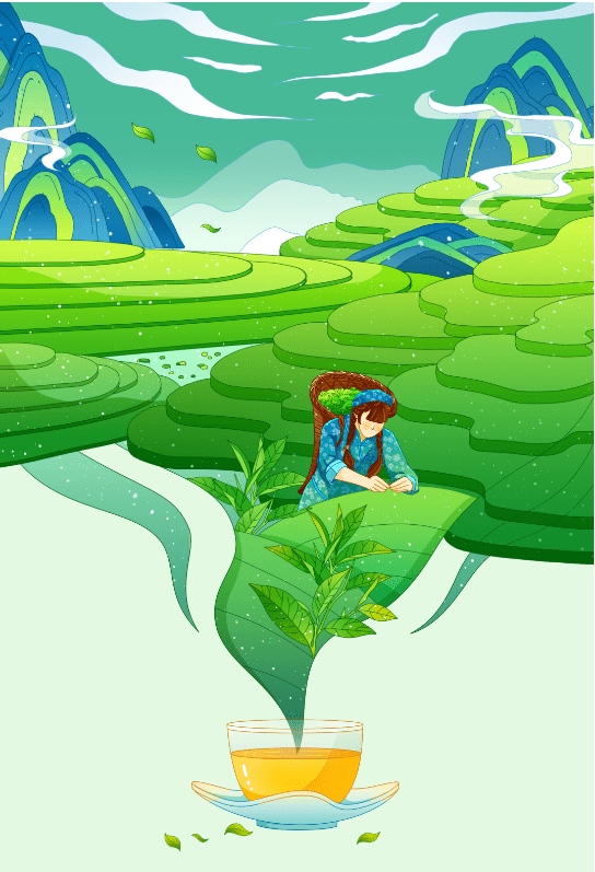 轻品岁月小酌时光2017年秧塔大白茶古树生茶晒青