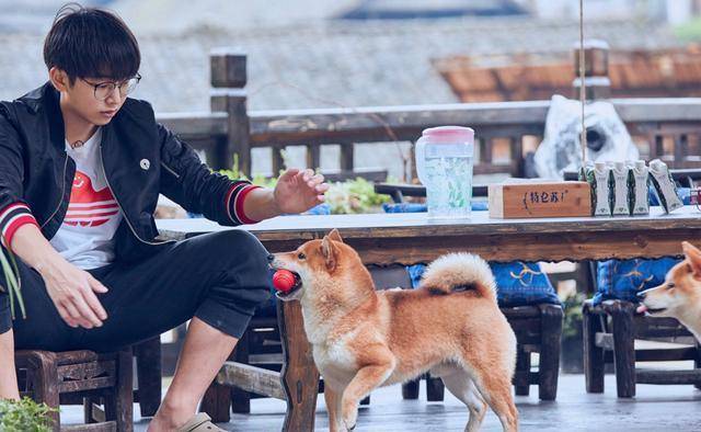 向往的生活3新嘉宾不断大华却独在异乡狂晒美食照