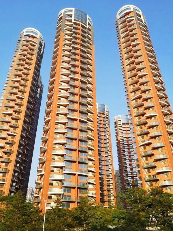 深圳德弘天下华府详情介绍罗湖项目