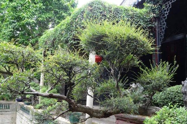 占地50亩！江苏这一古典园林，宅园合一，还是世界文化遗产！