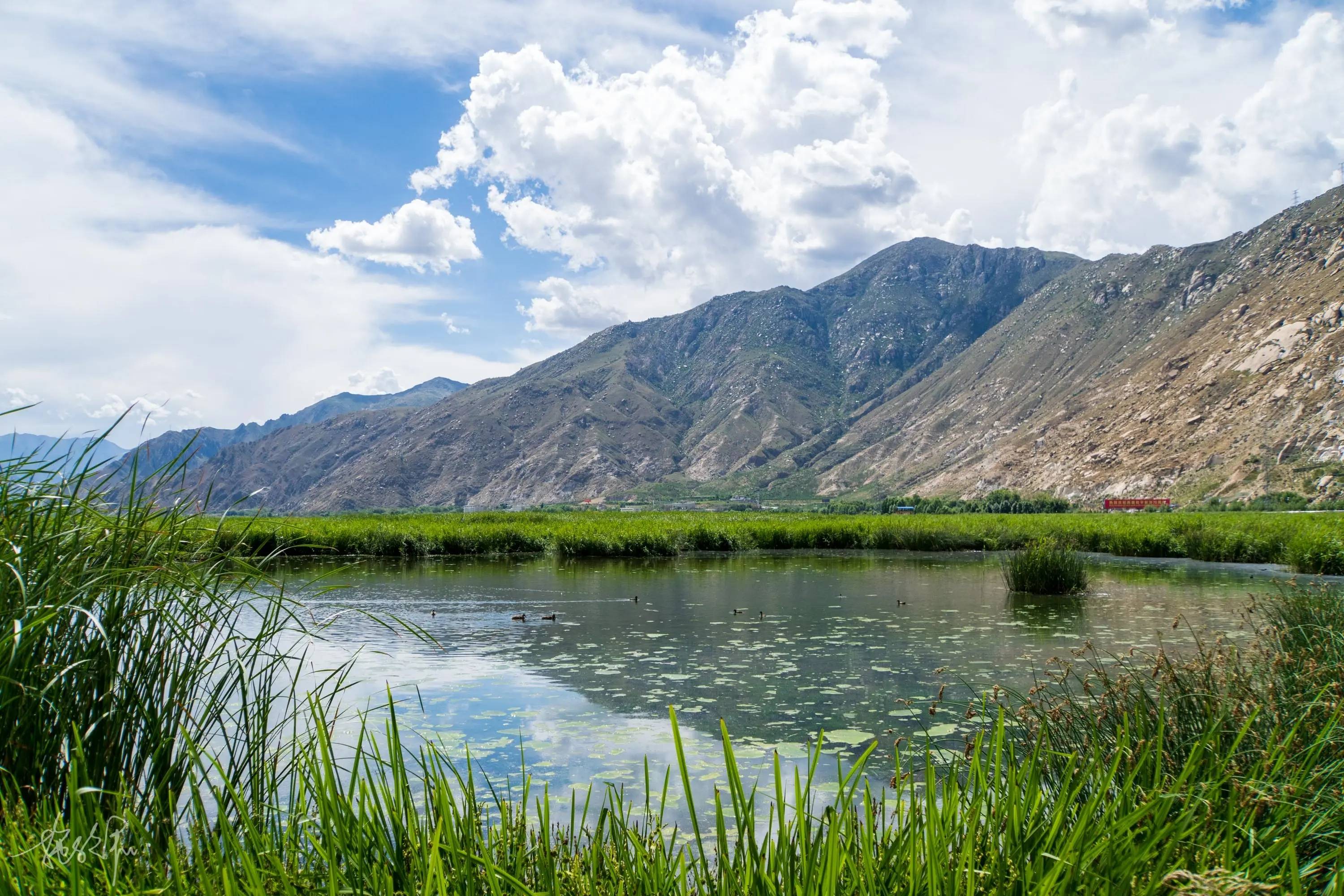 拉鲁湿地国家级自然保护区5月1日起免费开放