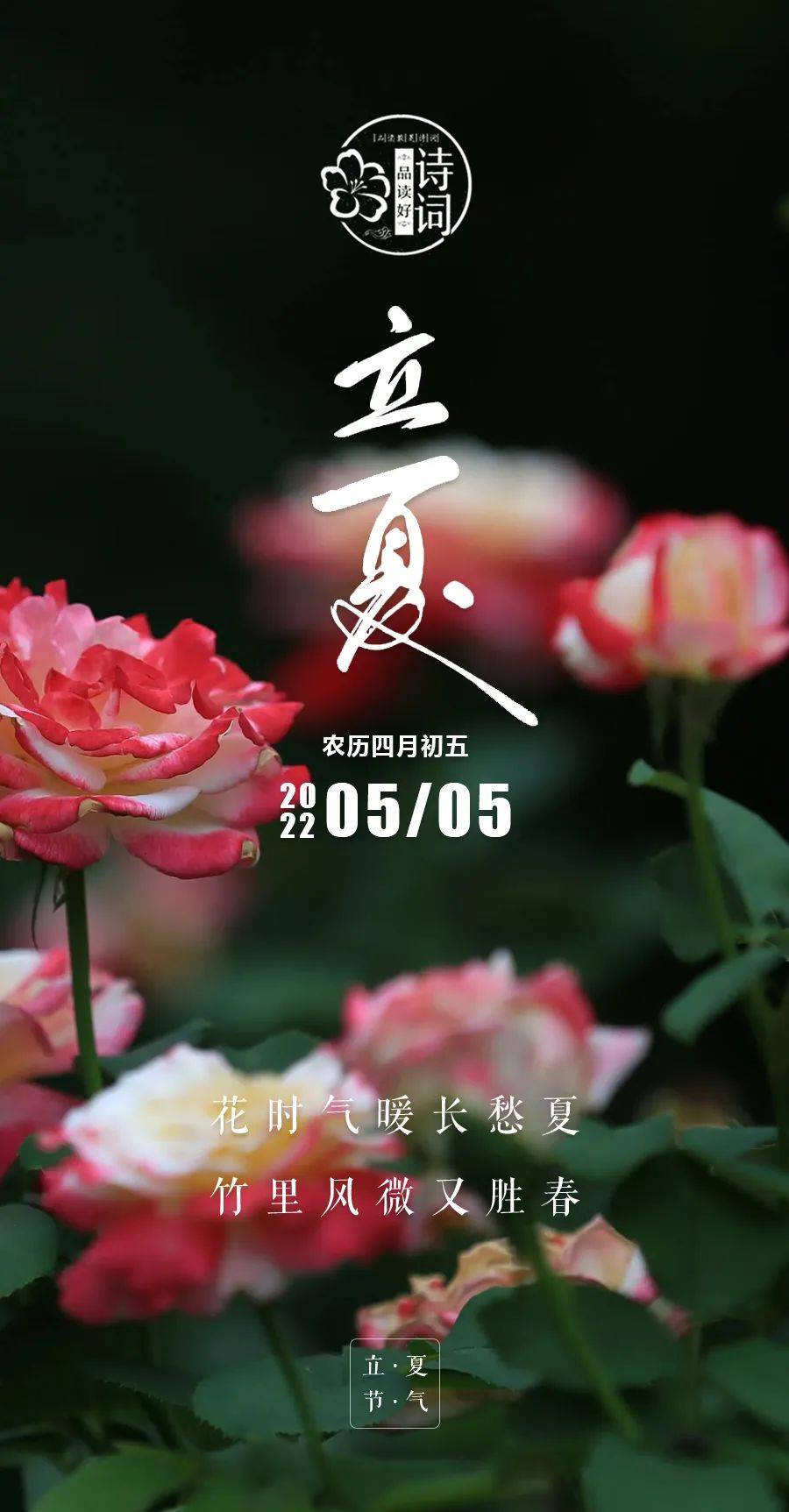 原创美文美图立夏万物生长迎夏而立迎接更好的自己