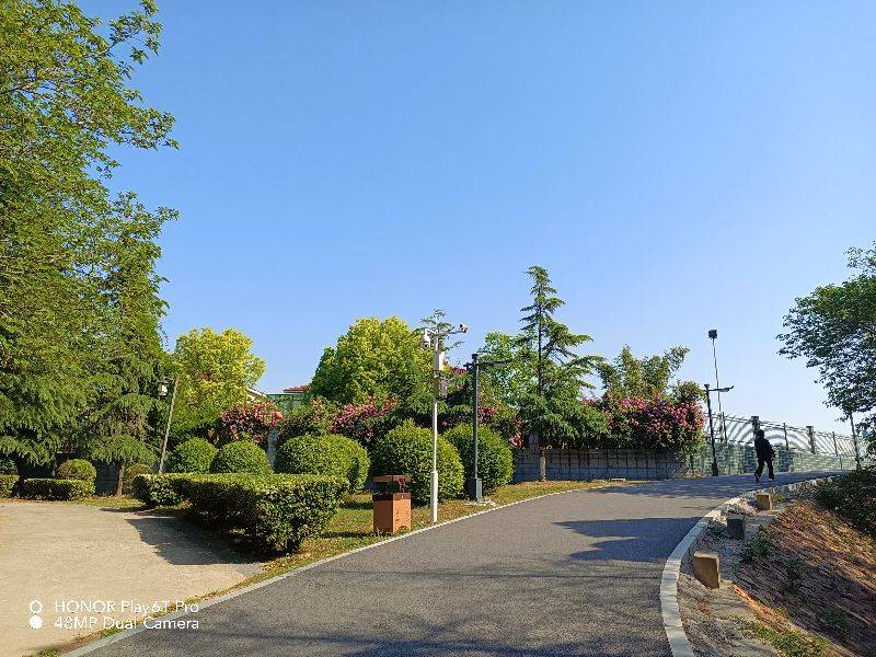 千元机荣耀play6tpro不仅颜值高拍照也是棒棒的