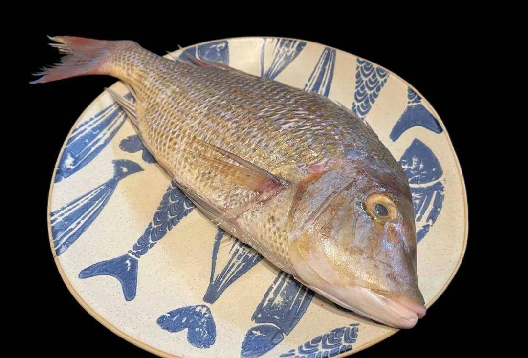 潮爸家5月3日午餐记录,清蒸湛江连尖鱼,老陈皮烤排骨_肉质_菜谱_做法