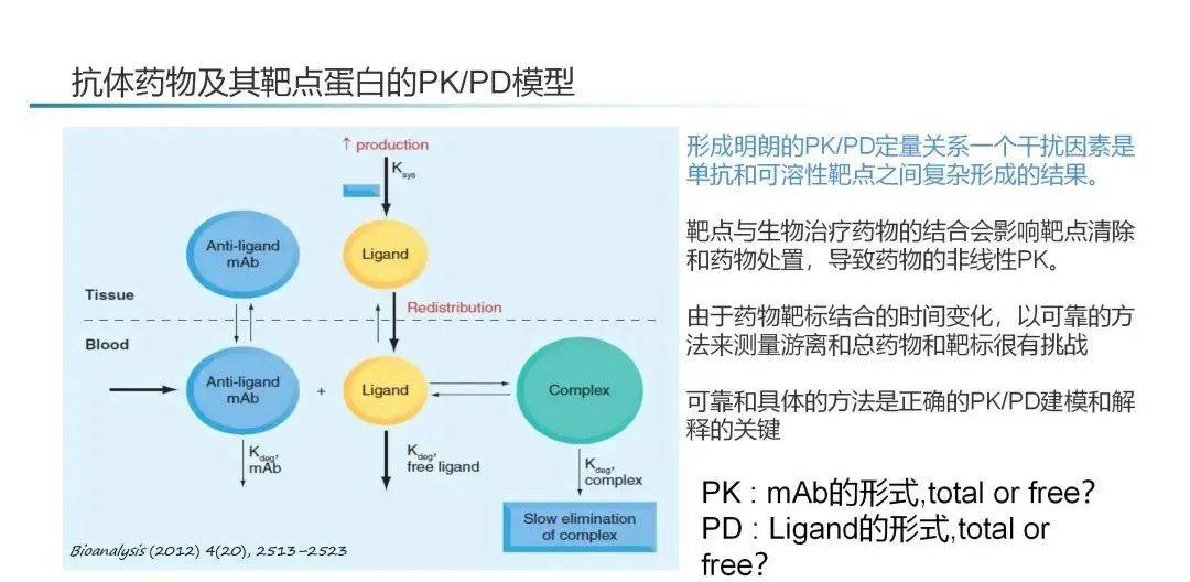 生物药分析关键试剂开发及PK/PD生物分析经验分享_抗体_药物_动力学