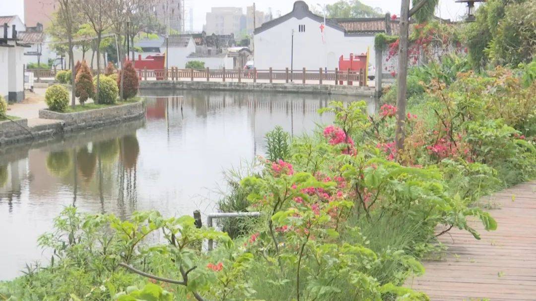 潮南区陇田镇东华村:"传家宝"藏着乡村振兴故事