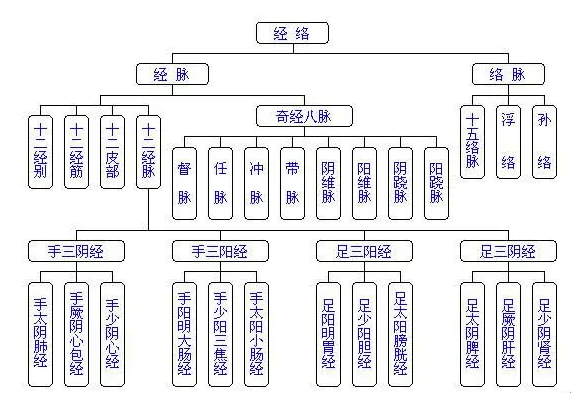 人体的健康和疾病状况通过经络传导到面部反射区反射出来,而面部则是