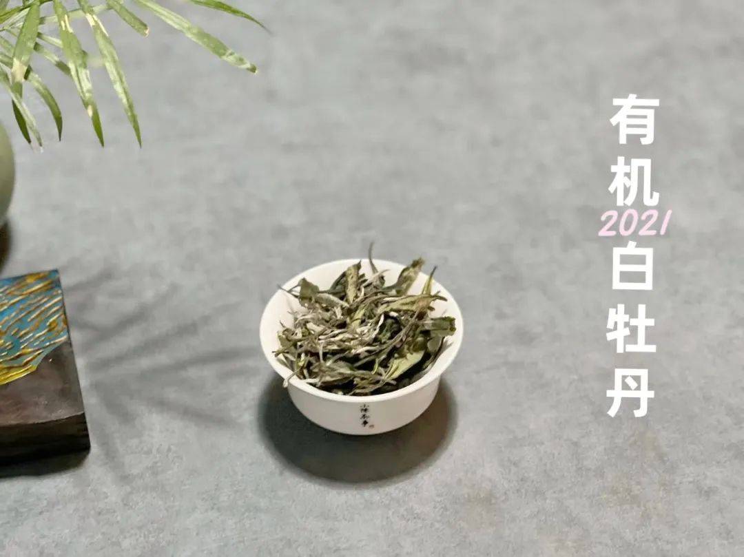 好白茶为什么要香气落水？喝起来没有花香的白牡丹，暗藏这3点雷_手机搜狐网