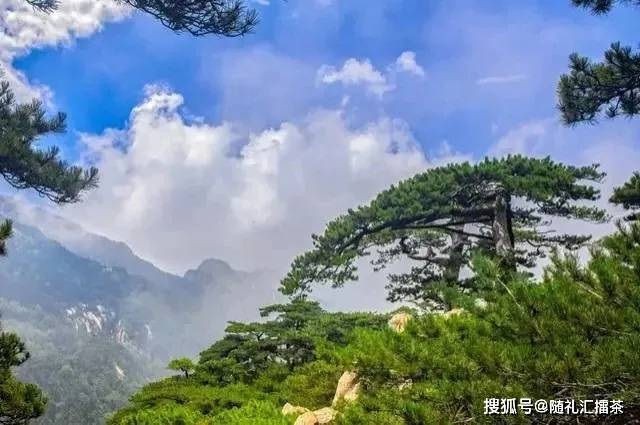 分享图片——绝美泰山风景