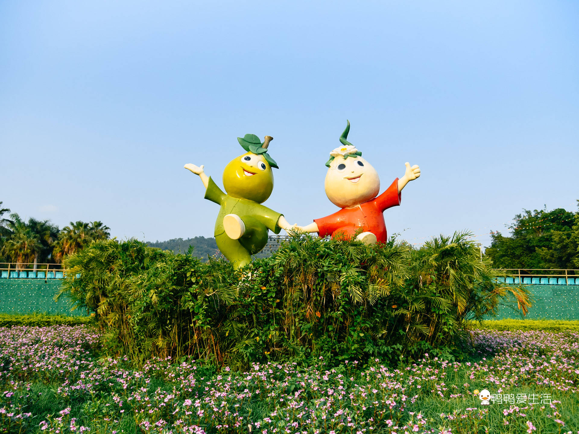 原创漳州东南花都太浪漫农业馆奇石馆涨知识还能入住温泉酒店