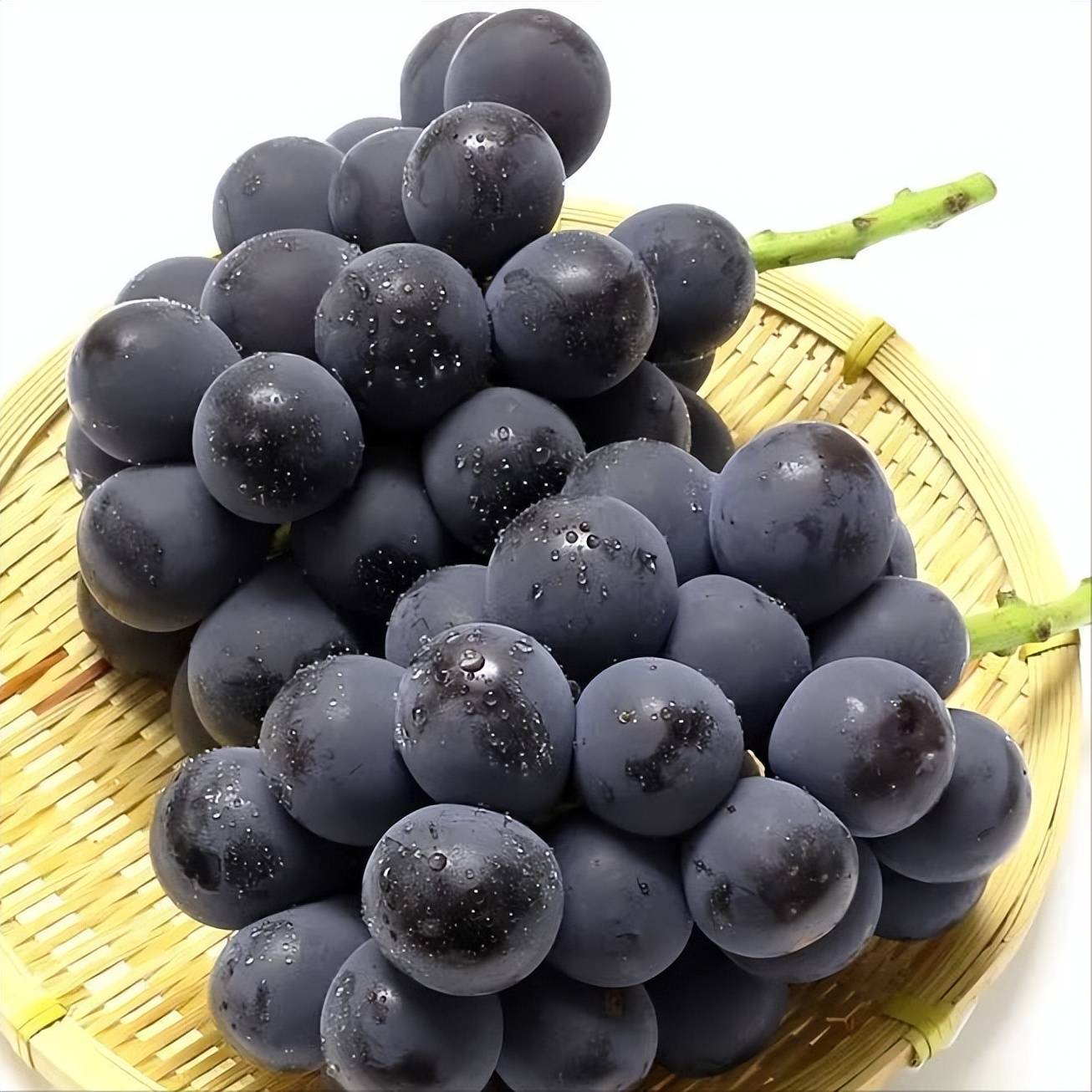 农业视野|黑色系葡萄的天花板,能超越阳光玫瑰吗?