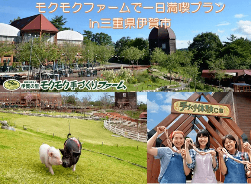 看此魔力农场,以三产融合让乡村振兴产生化学反应!_游客量_日本_发展