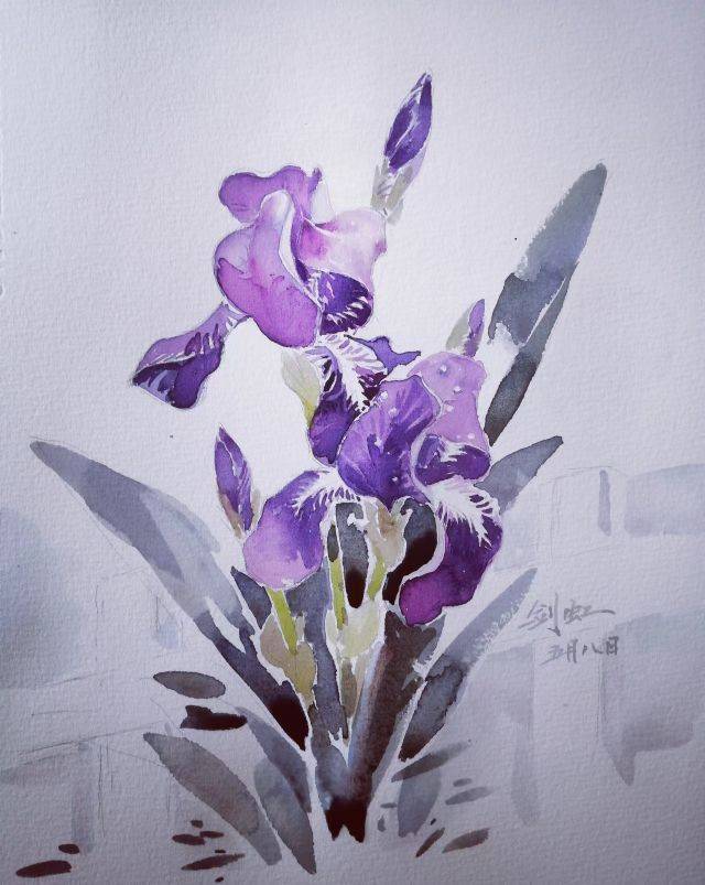 类别:水彩 彩铅作者:mj作品:大滨菊类别:彩色油笔画 彩色钢笔画作者