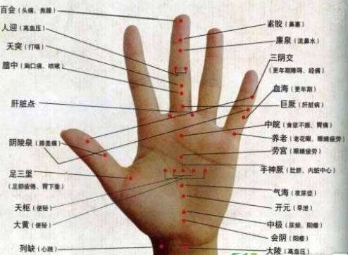 食指掌指关节位置图图片