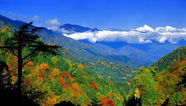 隶属雅安的一县，地处四川西南部，境内优势很明显，发展却不太好