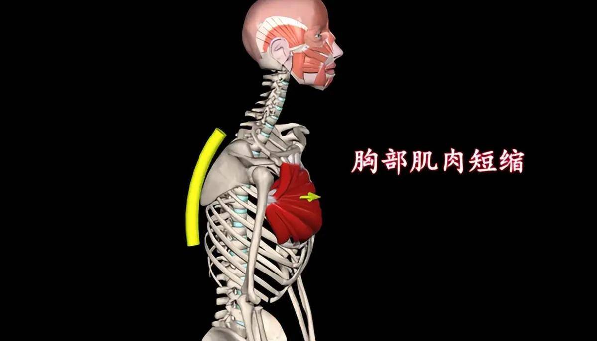 膝盖各个部位疼痛图解结构_膝盖详图_膝盖图示