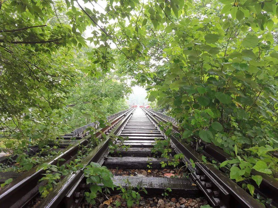 广钢铁路将被活化改造 铁路小镇即将开建