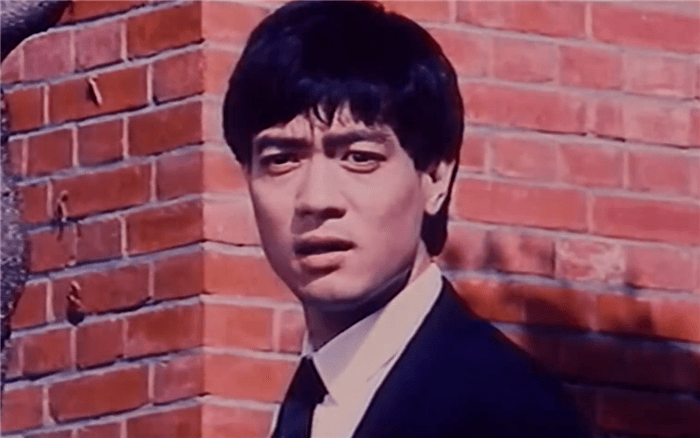 当时拍过不少电视剧,比如武打连续剧《心剑》,当年引进内地的时候叫