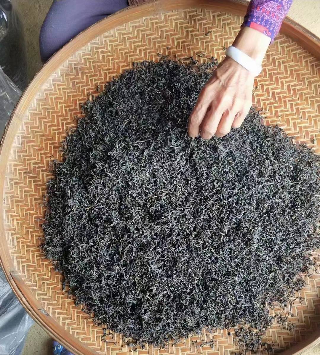 罗桂彬农家六堡茶迎来旺销_苍梧县_茶山_梧州