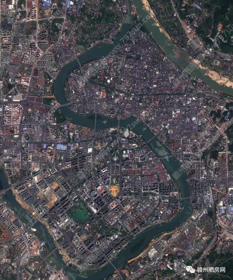 电白2022卫星图图片