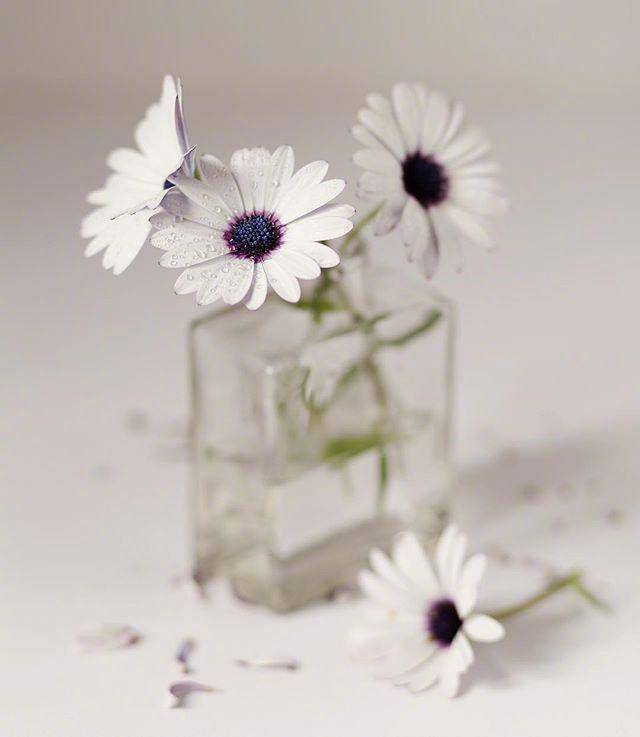 5月很干净的早安说说,精致唯美,百读不厌!_生活_路有多_都比