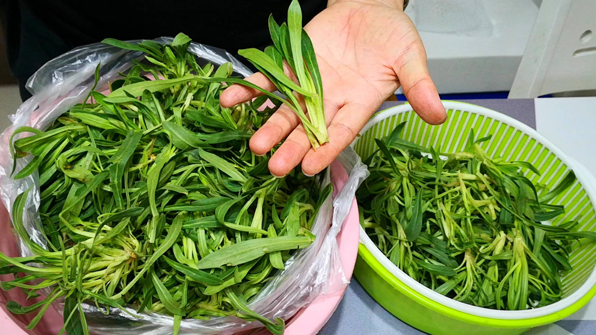 第二种野菜:面条菜洗净的山面汤菜焯水一分钟,晾凉后切下根部留着蘸酱