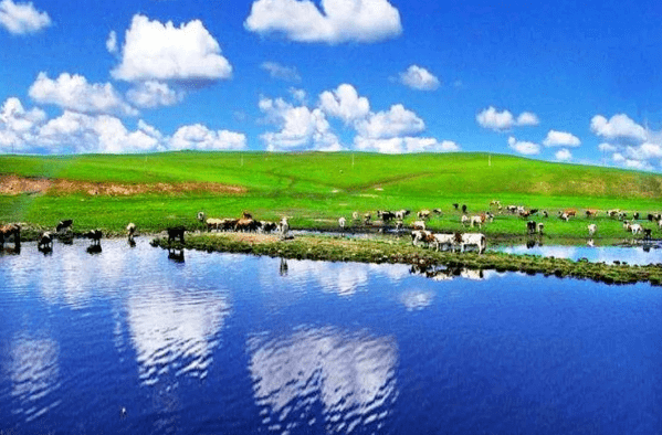 内蒙古第一大湖，面积超过杭州360个西湖，物产丰饶景色宜人
