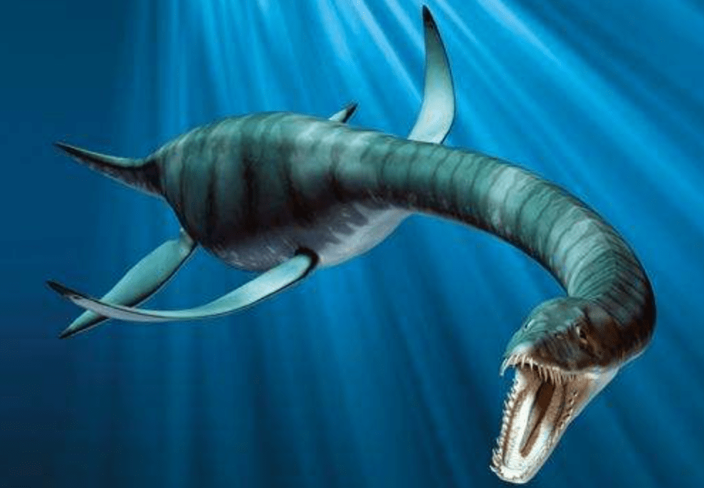 脊椎动物_蛇颈_鱼龙