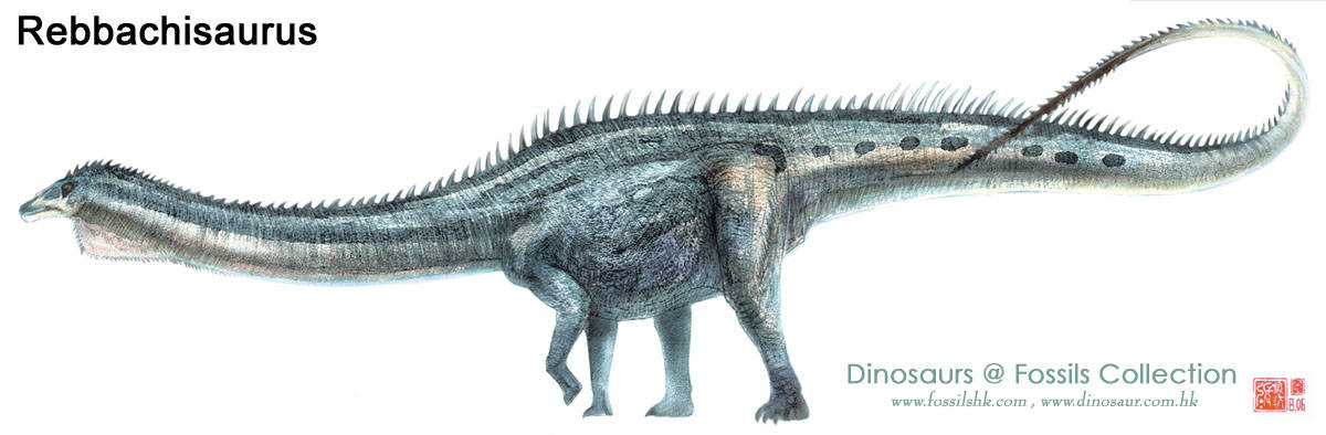 地球历史上最庞大的家族群体,成员中个个都是"庞然大物"_恐龙_蜥脚类