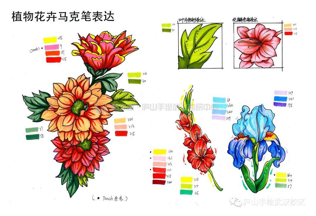 每周一绘 | 视觉传达花卉元素马克笔表达_花朵_颜色_效果