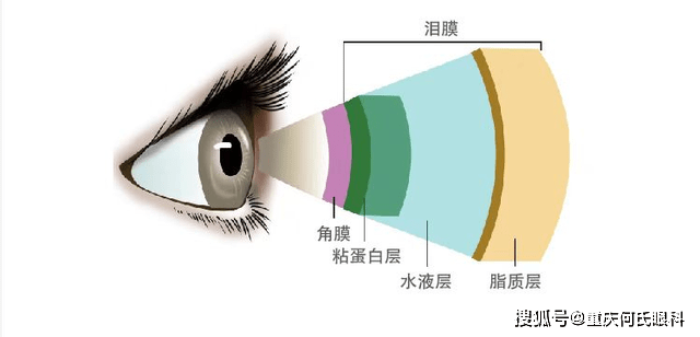 泪河高度正常值 来自搜狐网