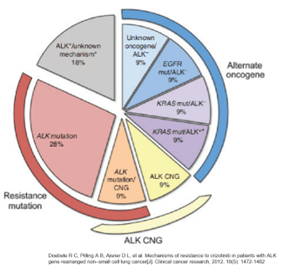 淺述alk融合突變及其檢測方法(下)_研究_亞型_治療