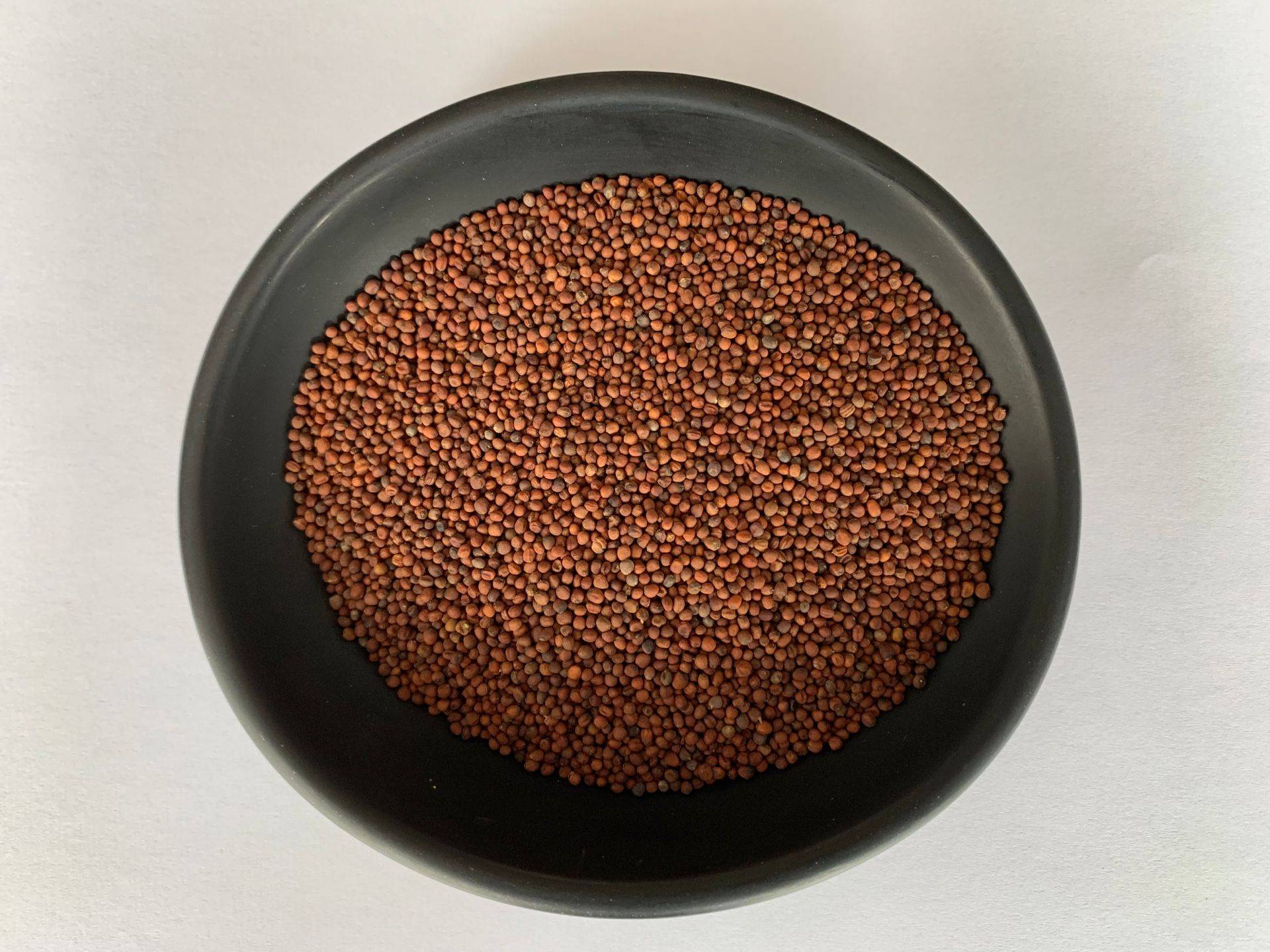 日本垄断西兰花种子市场,每年狂赚我国数十亿,我国如何反击?