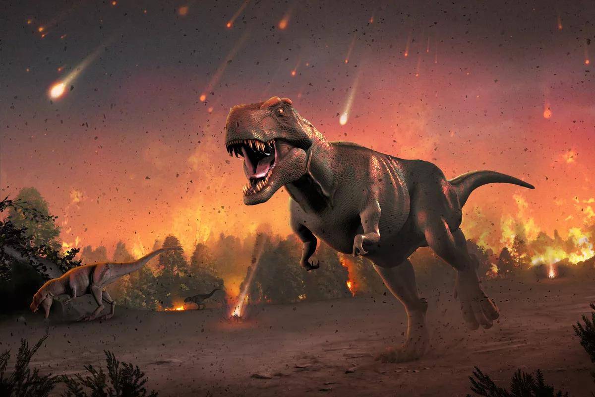 第六次物种大灭绝进行时科学家未来20年是我们自救的最后机会