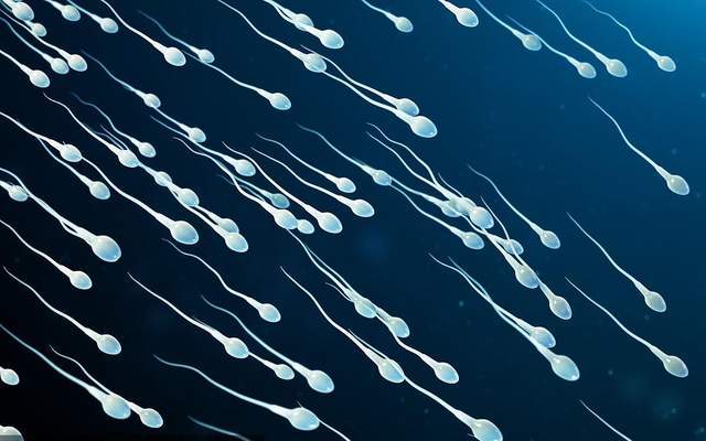 【精子成活率低怎么办】精子成活率低能受孕吗_精子成活率低的原因