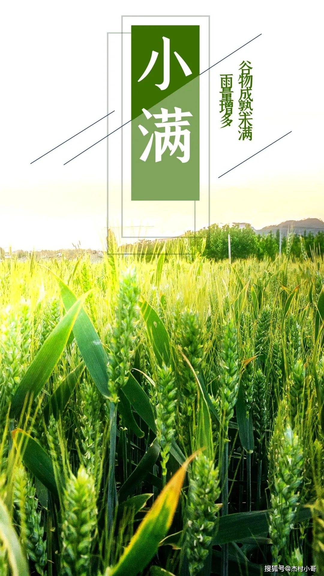 521小满早安新的一天新的开始
